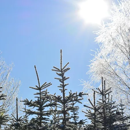 Dorlar Appartement Schmallenberg