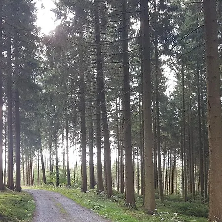 Dorlar Schmallenberg