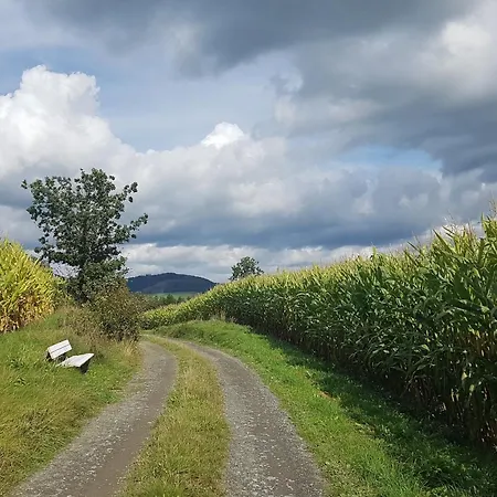 Lejlighed Dorlar Schmallenberg
