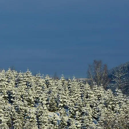 Dorlar Lejlighed Schmallenberg