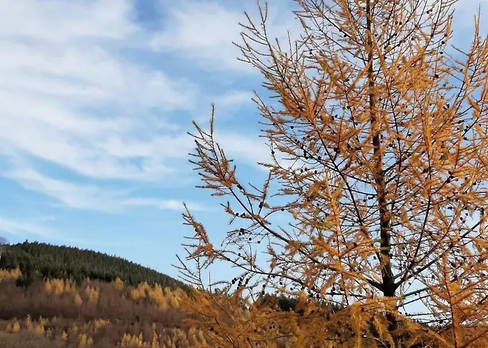 Appartement Dorlar *