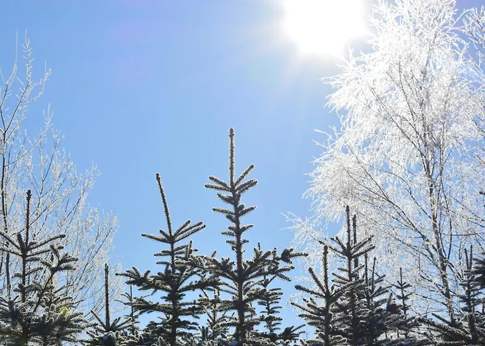 Dorlar Appartement Schmallenberg