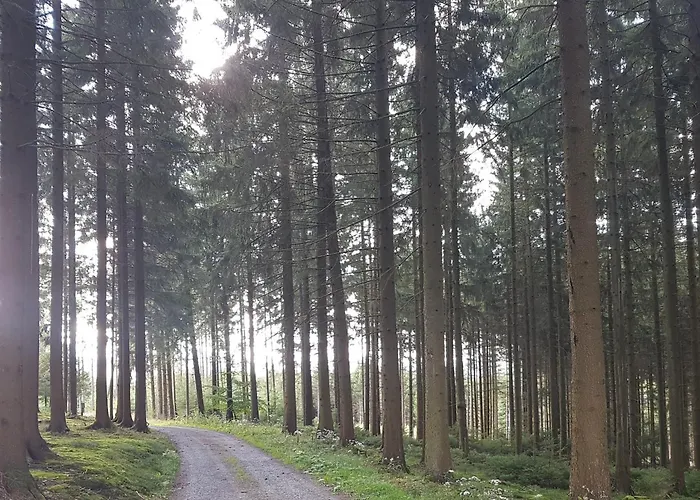 Dorlar Schmallenberg